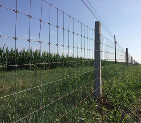 企業(yè)風(fēng)采